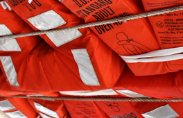 Passenger Safety Management